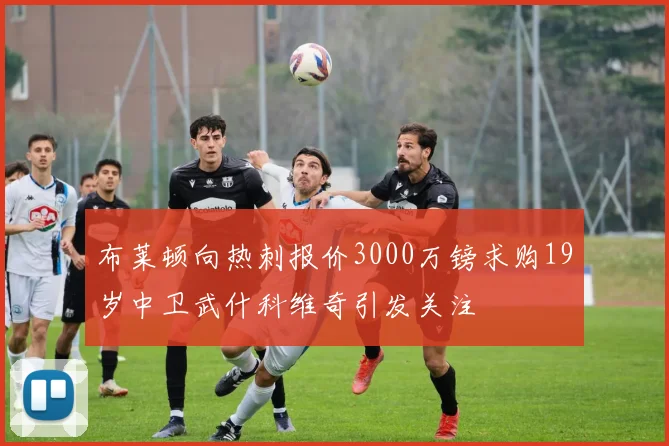布莱顿向热刺报价3000万镑求购19岁中卫武什科维奇引发关注